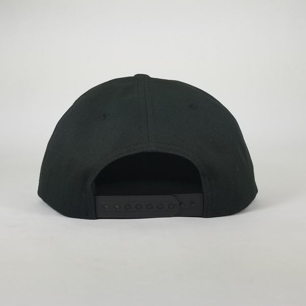 Dropping Lines Snow - Curved bill- Snapback